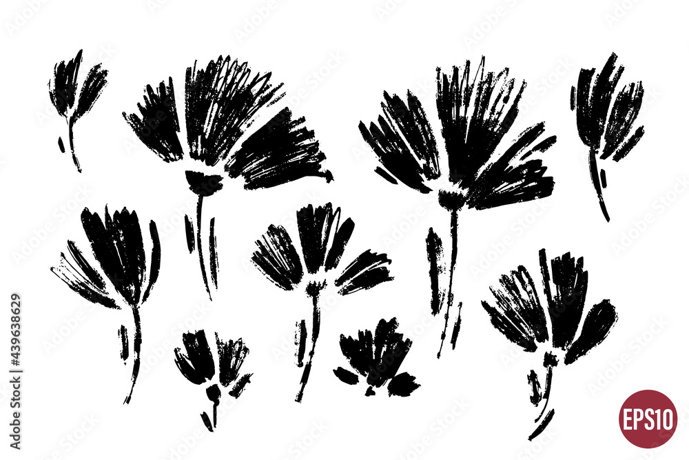 Vector set of ink drawing wild plants, flowers, monochrome artistic botanical illustration, isolated floral elements, hand drawn illustration.
