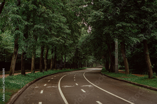 asphalt road in the park in summer