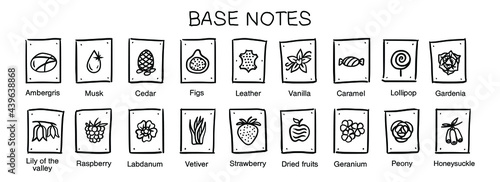 Vector  icons aromas base notes. Base notes pyramid chart with examples of popular aroma essences. Smell categories are oriental, woody, fresh and floral. Trend  examples of scents. Hand-drawn symbol.