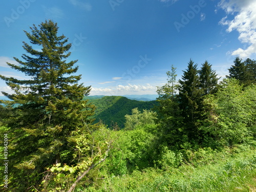 landscape with sky clingmans dome tennessee knoxville gatlinburg