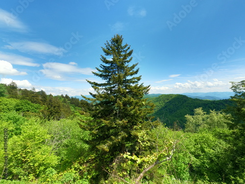 landscape with sky clingmans dome tennessee knoxville gatlinburg