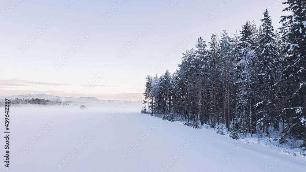 Breathtaking bird's eye view of valley covered with fog before sunrise time in winter. Aerial view of picturesque tranquility of nature, coniferous forest pines in snow Breathtaking bird's eye view of valley covered with fog before sunrise time in winter. Aerial view of picturesque tranquility of nature, coniferous forest pines in snow