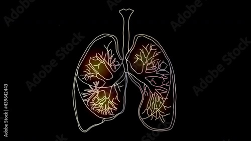 Human lung. lung damage from the corona virus Covid 19. The technology concept, Animation of human lungs. 4K