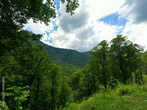 landscape with sky clingmans dome tennessee knoxville gatlinburg