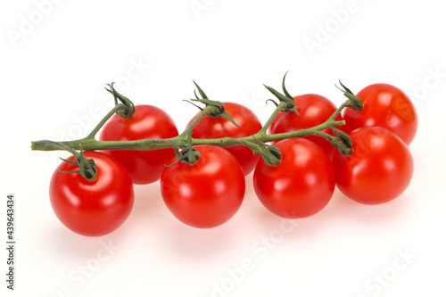 Ripe tomatoes on the branch