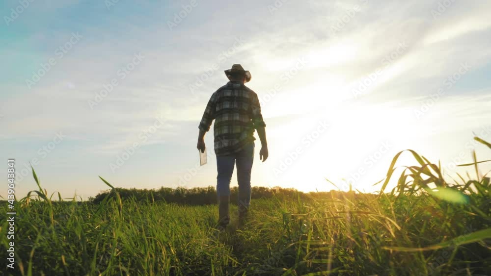 Agriculture industry. Farmer inspects in a green wheat field. Digital tablet in man hand. Agronomist walks through the green field in rubber boots. Man agriculturist inspects a field of small wheat. Agriculture industry. Farmer inspects in a green wheat field. Digital tablet in man hand. Agronomist walks through the green field in rubber boots. Man agriculturist inspects a field of small wheat.