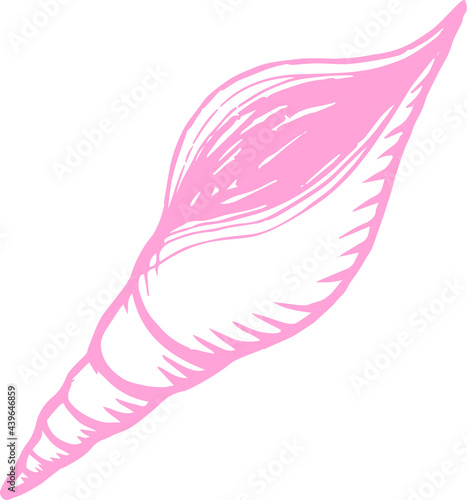 Vector line art sketch pink seashell marine picture in doodle style