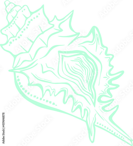 Vector line art sketch blue seashell marine picture in doodle style