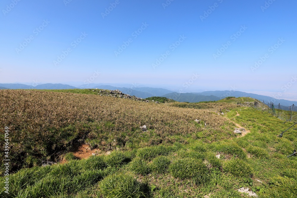 Fototapeta premium 初夏の伊吹山山頂