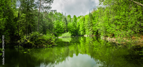 Wasserspiegelung in einem schönen Waldsee