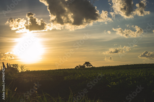 Sunset with orange and blue sky