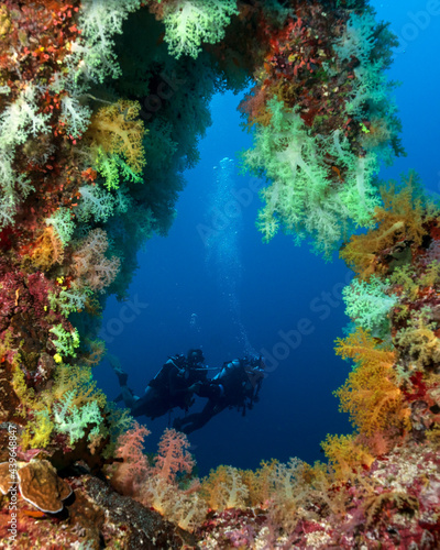 Fototapeta Naklejka Na Ścianę i Meble -  Soft coral window and two divers in the background in Maldives