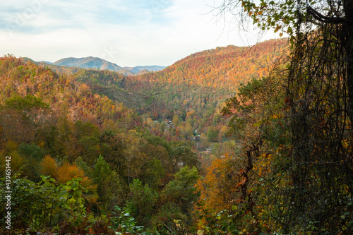 Fall colors in Great Smokey Mountains of North Carolina 