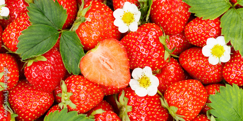 Fototapeta Naklejka Na Ścianę i Meble -  Strawberries berries fruits strawberry berry fruit with leaves and blossoms sliced panoramic view background