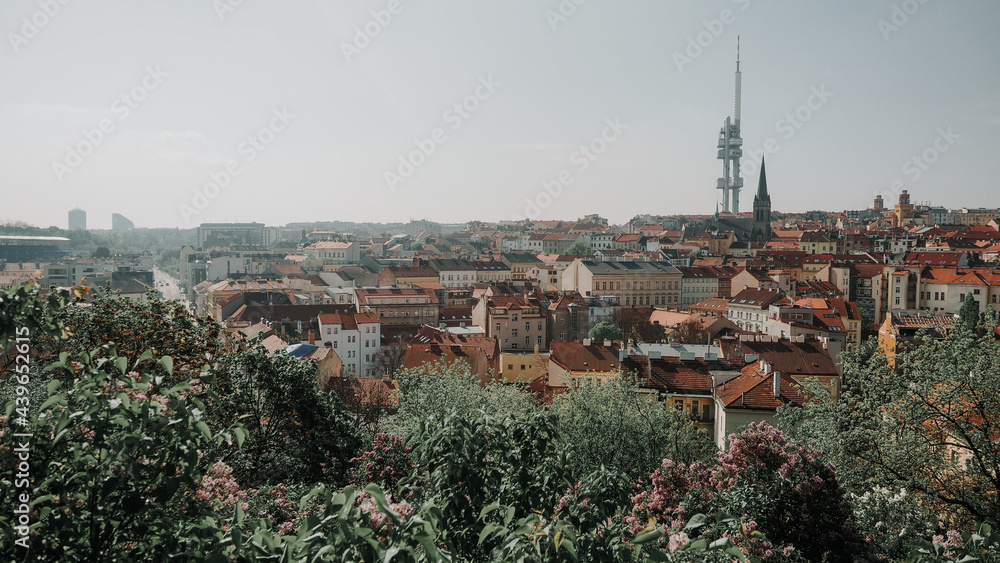 Cityscape in the summer, Prague