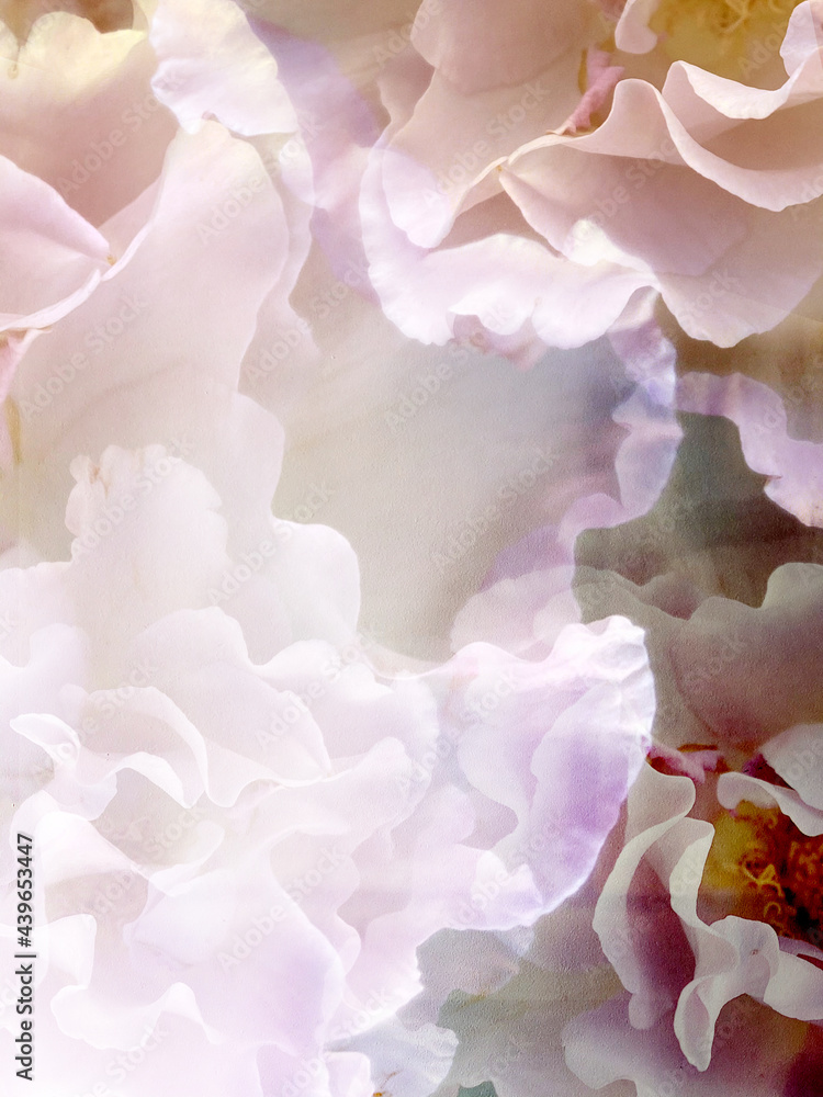 Creative background of flowers Creative background of flowers