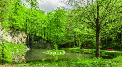 Wasserspiegelung in einem schönen Waldsee