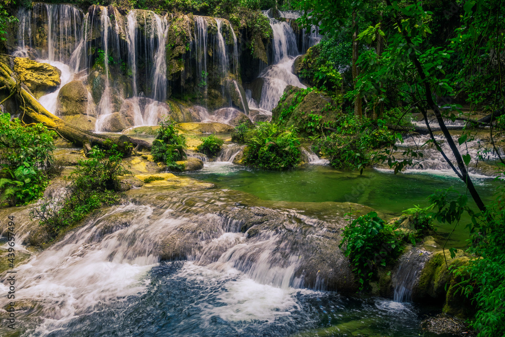 Obraz premium Selva Lacandona Mexico