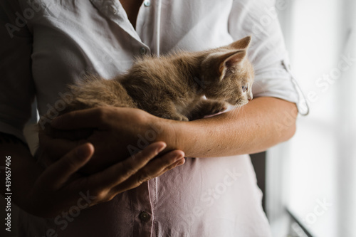 A 6 week old ginger kitten in foster carers arms
