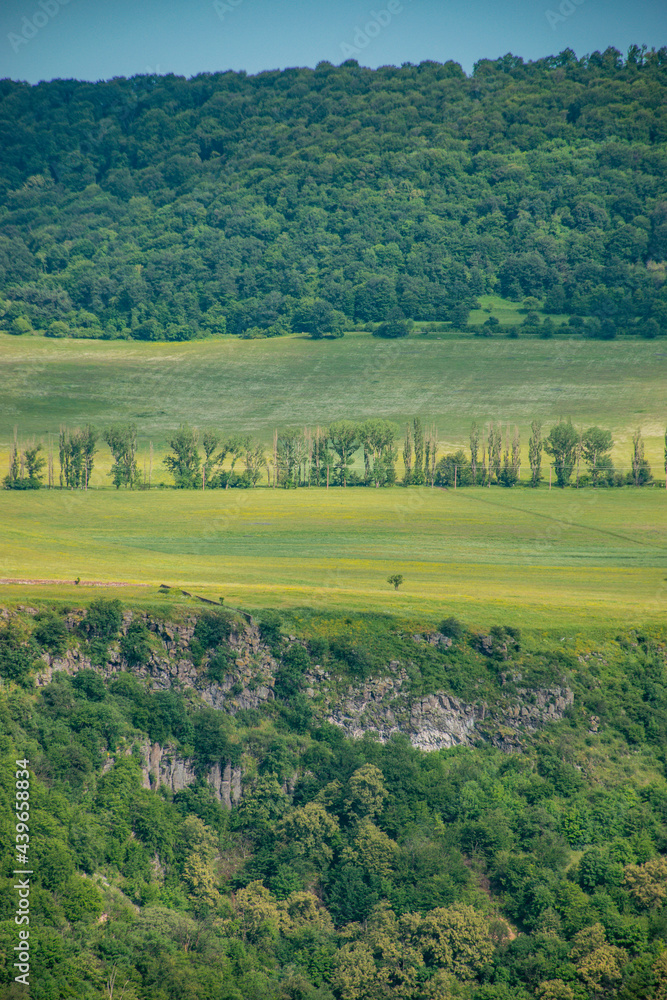 landscape with trees and hills