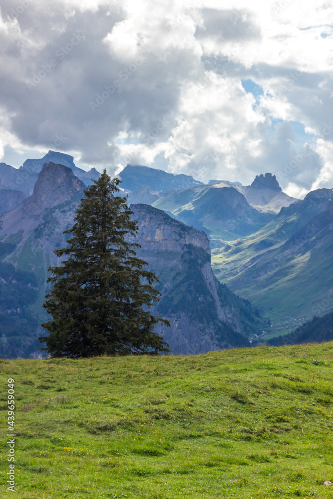 mountain trail in Swiss Alps