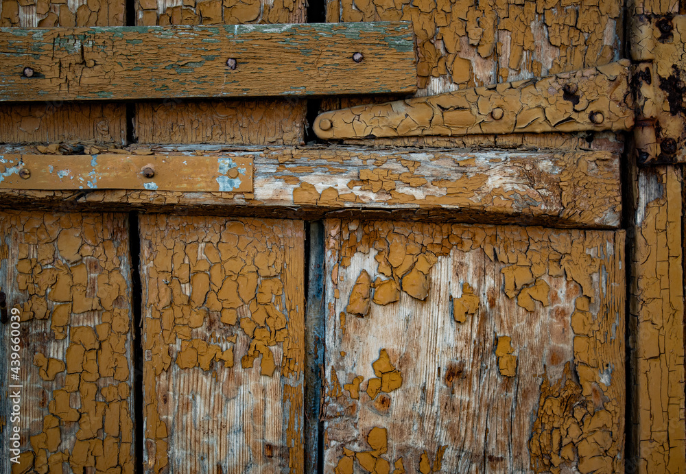 Naklejka premium Wooden background. Fragment of an old door. Cracked paint on a wood background. Elements of metal loops.