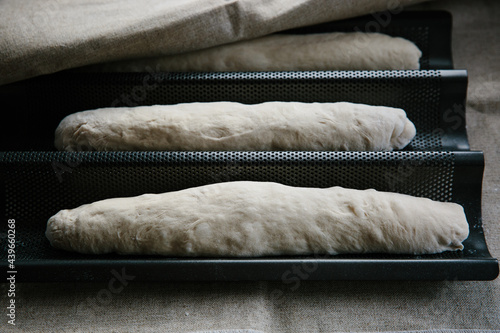 Home made baguettes