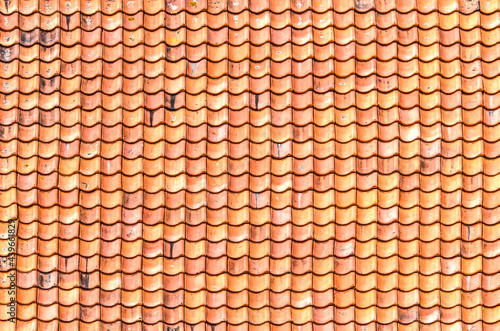 Traditional Dutch tile roof