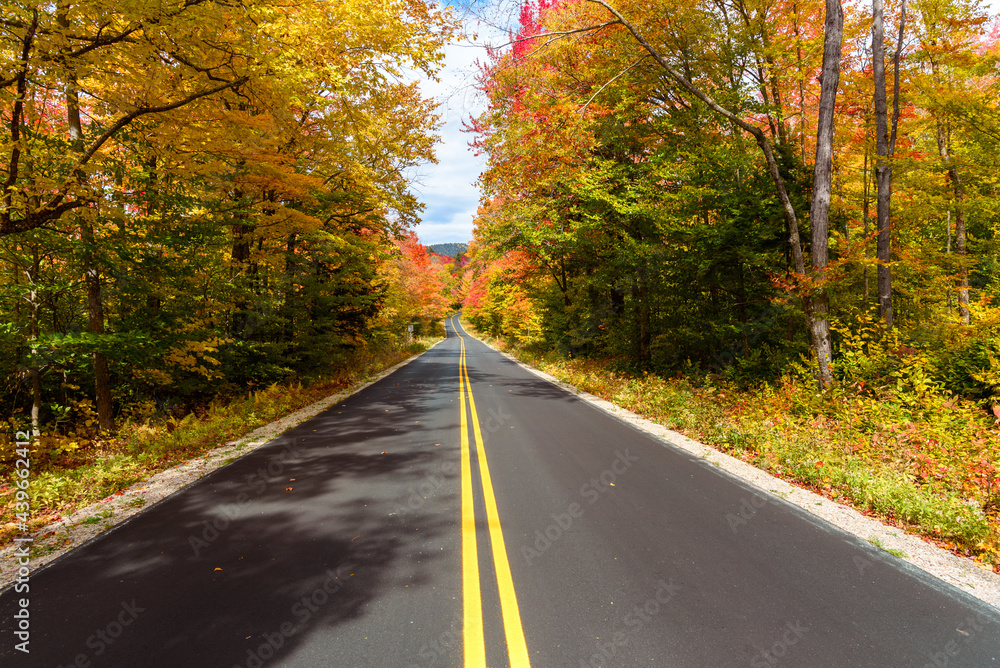 Straigth stretch of a mountain road through a colourful autumn forest on a sunny day