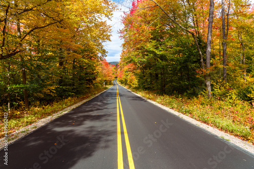 Straigth stretch of a mountain road through a colourful autumn forest on a sunny day