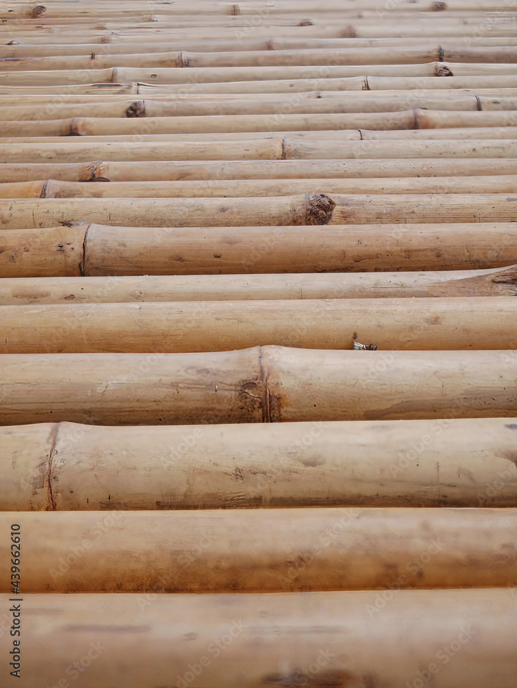 Natural brown color Bamboo walkway tropical design Natural brown color Bamboo walkway tropical design