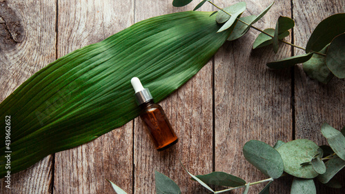 Glass dropper bottle with pipette. bottle with transparent hyaluronic cosmetic serum and skin care concept on wooden background with green leaves and eucalyptus sprig