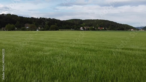 field in the wind with some birds