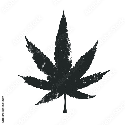Cannabis leaf isolated on white. Vector illustration.