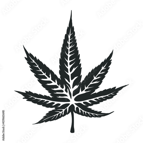 Cannabis leaf isolated on white. Vector illustration.