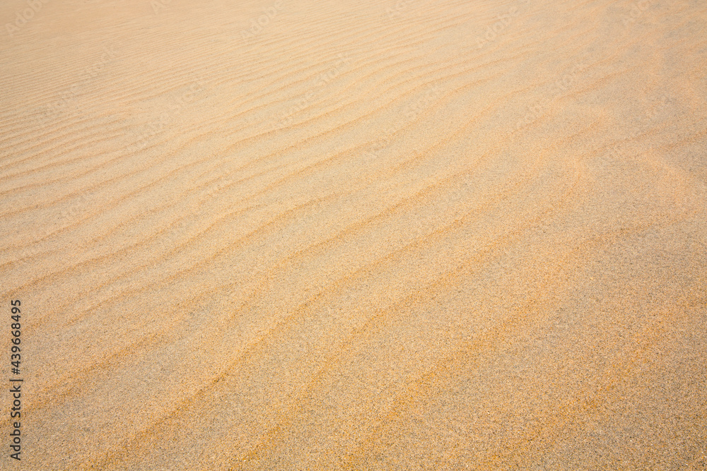 sand ripples texture background sand ripples texture background