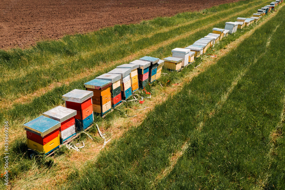 Beehive boxes in grassy meadow, aerial view drone footage Beehive boxes in grassy meadow, aerial view drone footage