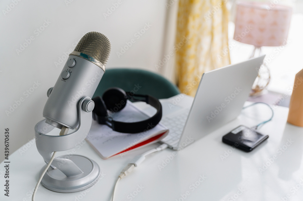 Microphone and Laptop