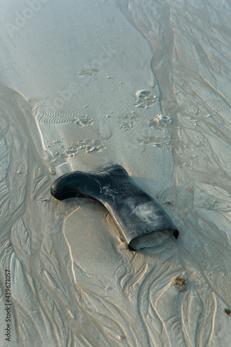 Wellington boot on the beach photo