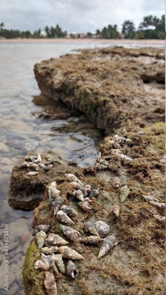 stones on the river stones on the river