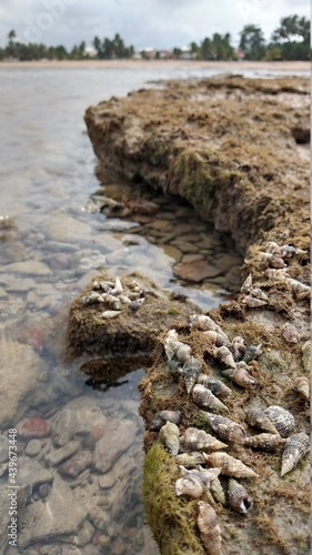 water and stones