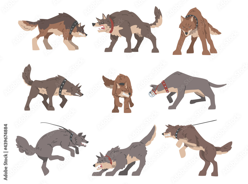 Set of Aggressive Large Dogs Baring its Teeth and Barking Vector Illustration