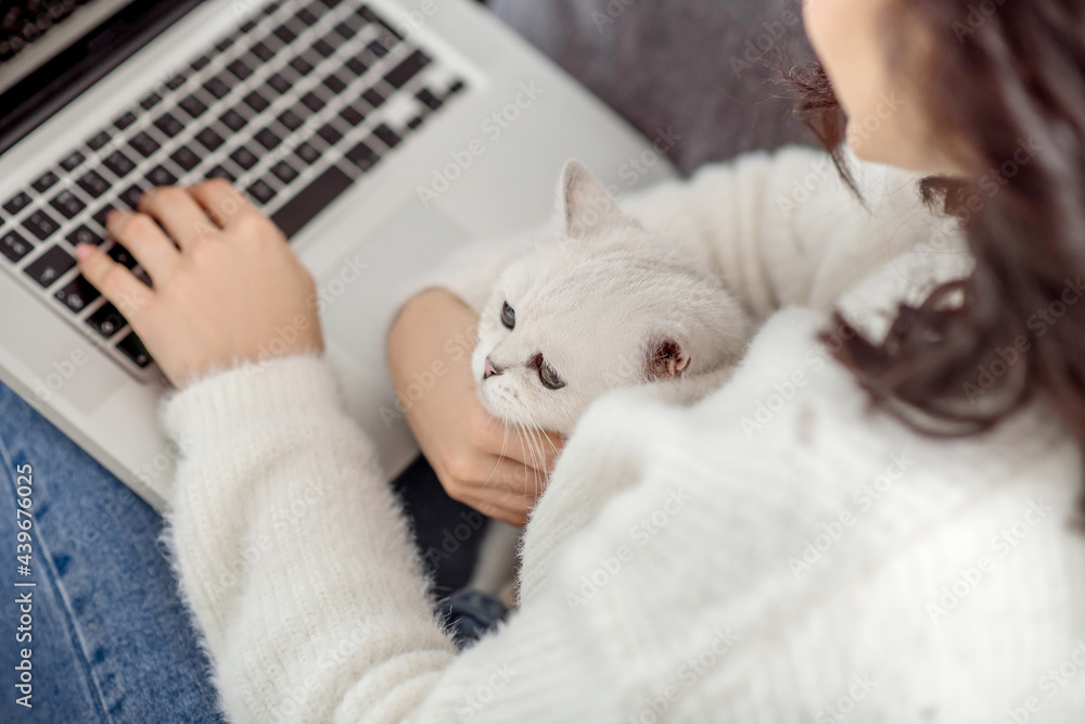 Dark-haired woman working on a laptop and hugging her cat Dark-haired woman working on a laptop and hugging her cat