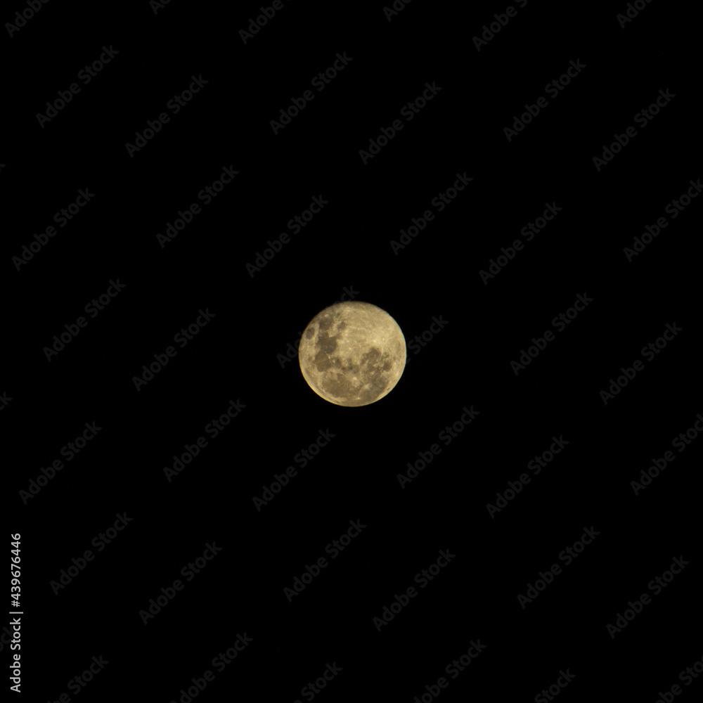 Moon Moon