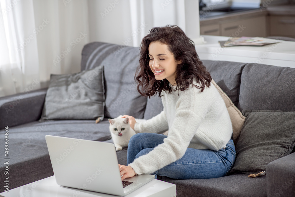 Dark-haired young woman hugginh her cat and having a video call Dark-haired young woman hugginh her cat and having a video call