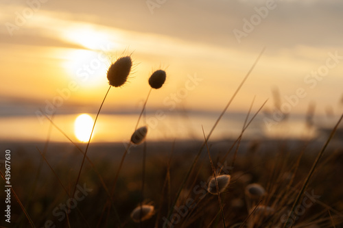 Golden hour sunrise over Waihi Beach