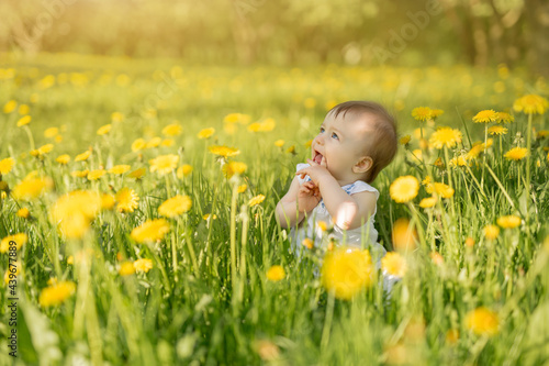 A little girl sits in a field of yellow dandelions in the sun and looks up to the side. The cute kid stuck his fingers in his mouth. Baby care. Licking dirty hands is dangerous for your health.
