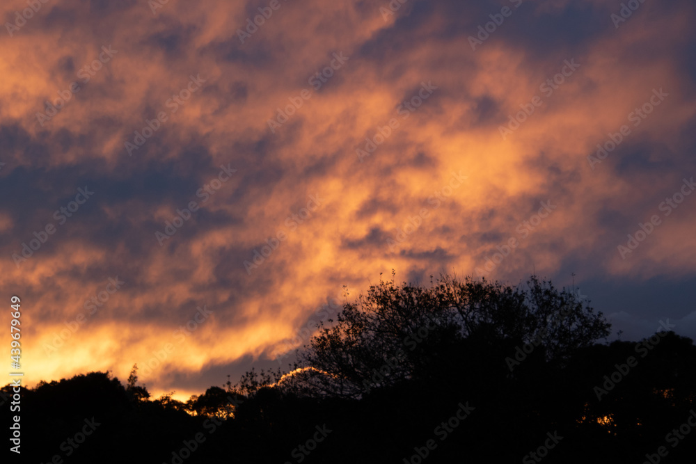 The sun sets over the forest on the Garden Route in South Africa