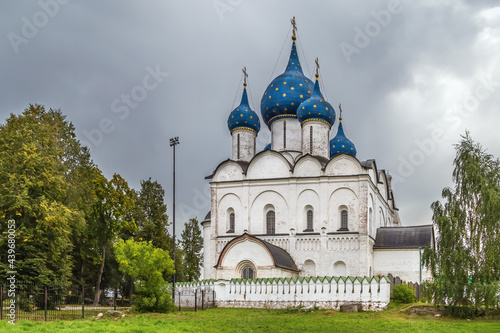 Cathedral of the Nativity, Suzdal, Russia © borisb17