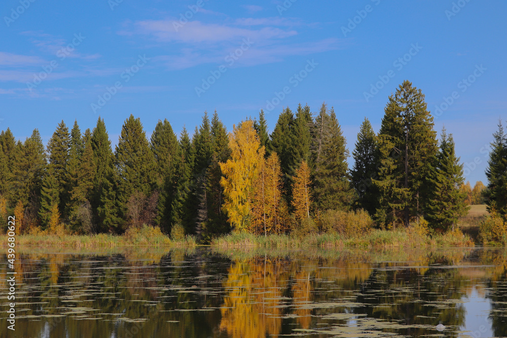 Autumn landscape